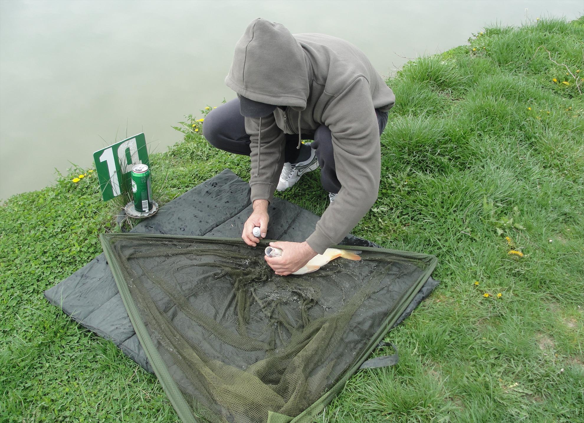 Floarea Popestiului 20 - 20 apr. - dsc09578.JPG